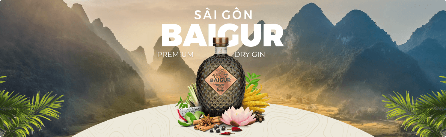 Saigon Baigur - Top banner.png